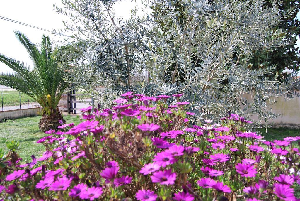 Agriturismo Torre Cristina Aprilia Buitenkant foto