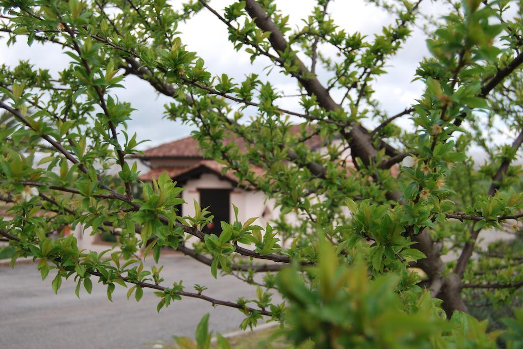 Agriturismo Torre Cristina Aprilia Buitenkant foto