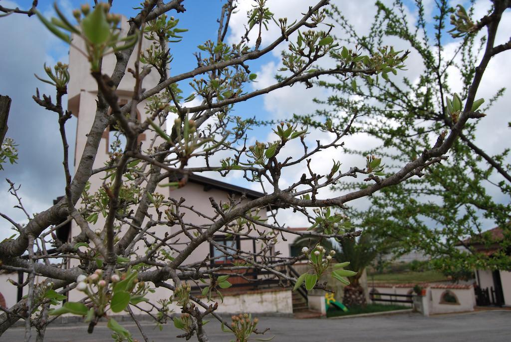 Agriturismo Torre Cristina Aprilia Buitenkant foto